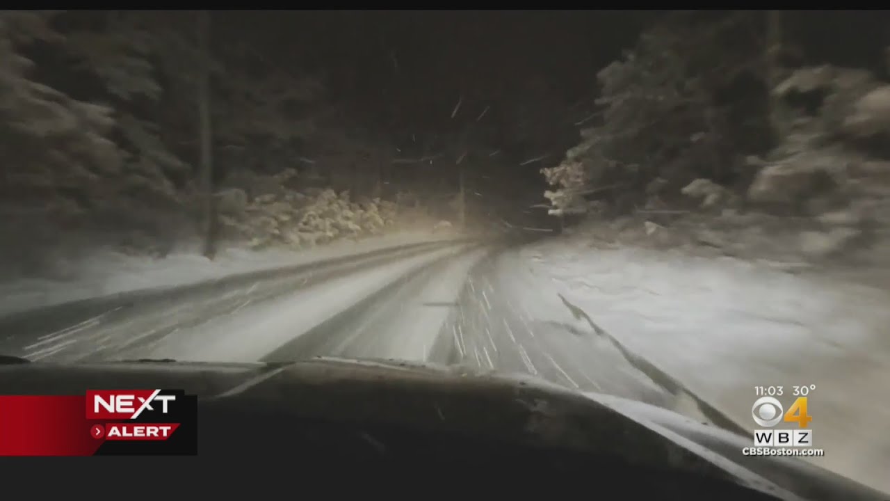 Downed limbs, slick roads create issues during Sunday's snow - YouTube