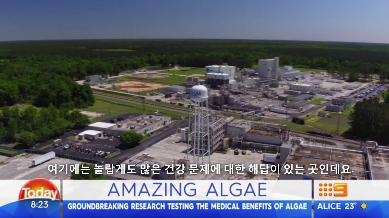 호주 아침정보 프로그램 ‘투데이(Today)’에 소개된 life'sDHA®!