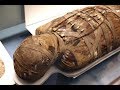 UNVEILING The Mystery of 1,900 Year Old CHILD MUMMY!