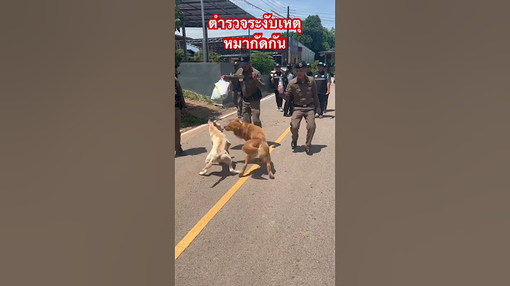 ตำรวจระงับเหตุหมากัดกัน #ตำรวจ #สุนัข #หาเงินออนไลน์ #ฝากกดติดตาม #หมา #shorts