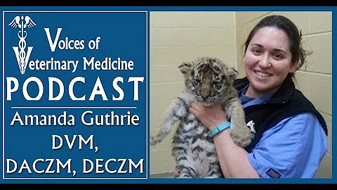Dr. Amanda Guthrie - An American Zoo Vet in London
