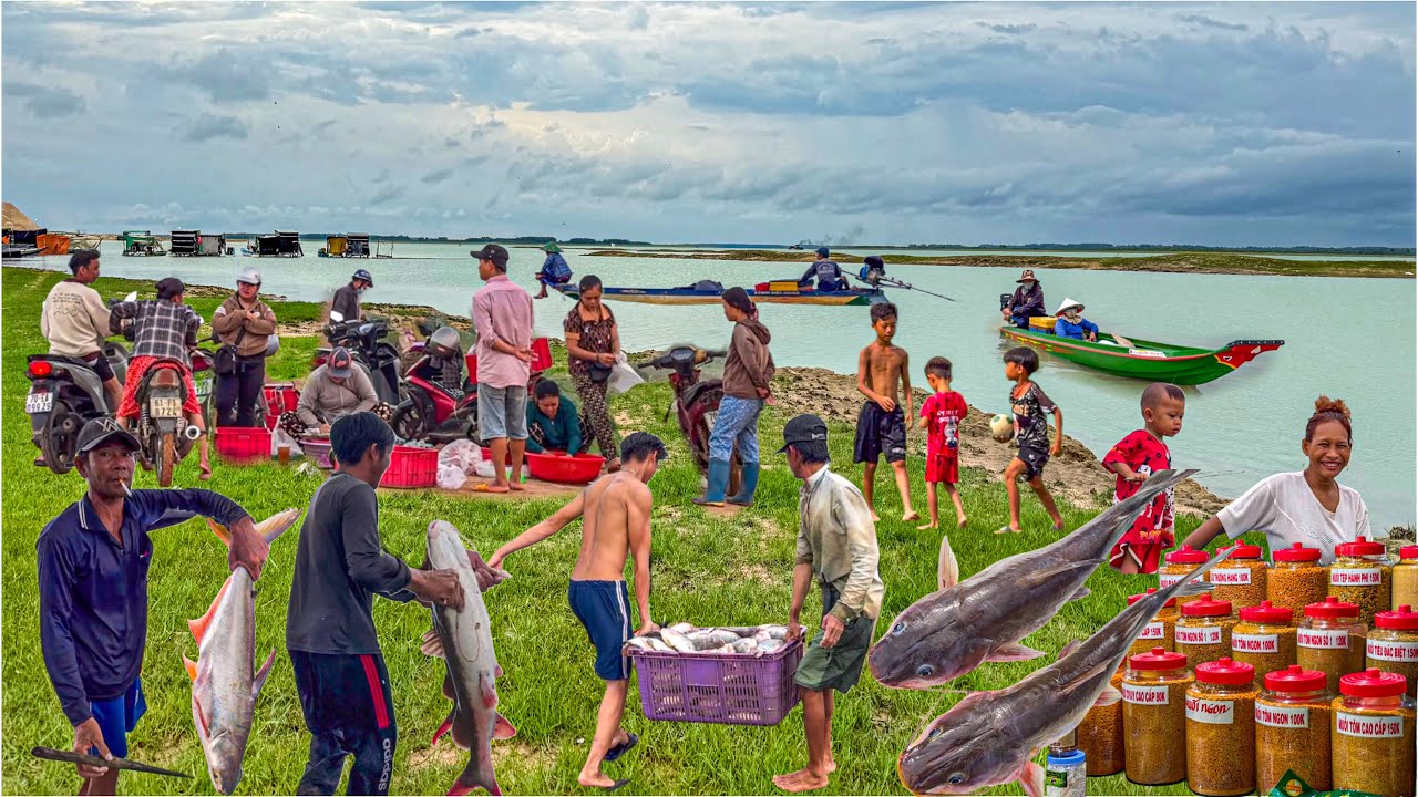 Gặp Cá Lăng Nha Hồ Dầu Tiếng Tây Ninh | Chợ Long Hoa Đặc Sản Bánh Tráng Muối Tôm