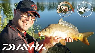 Wędki Daiwa N'Zone S i N'Zone Z Method Feeder