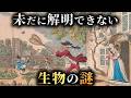 【未解明】科学者にもAIにも解明できない生物の謎4選がヤバすぎる...。Part16【 生物学 ミステリー 動物 】