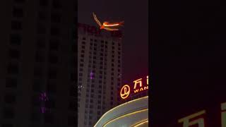 Phoenix flying in night sky