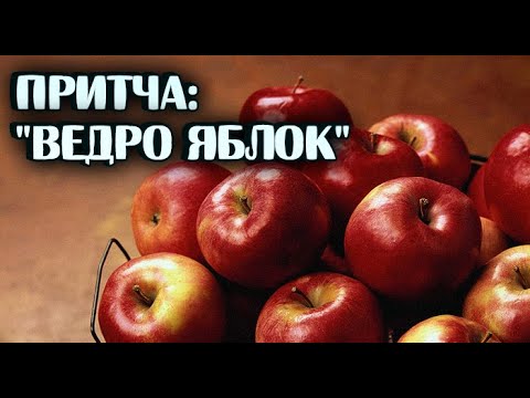 притча о ведре с яблоками и помоями. притча про ведро с яблоками и ведро. притча ведро яблок. главная мысль притчи ведро яблок. притча про соседей.