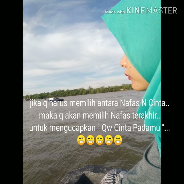 Story wa