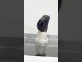 iolite Natural Crystal