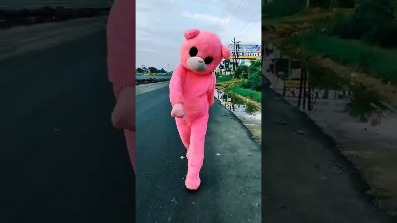 Teddy Bear in Slow Motion 