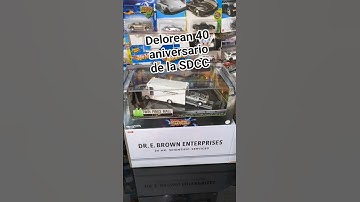 Delorean 40 aniversario de la SDCC #hotwheels #sandiegocomiccon #volveralfuturo #backtothefuture