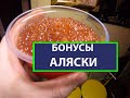 Солим икру в домашних условиях, Икра лосося солим своими руками. Аляска и ее Бонусы.