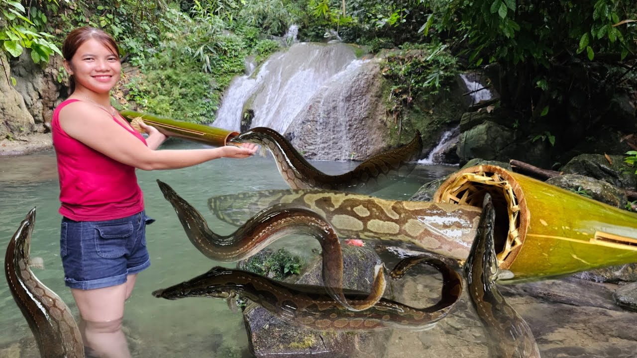 The girl used a bamboo tube to trap the loach fish, resulting in a lot ...