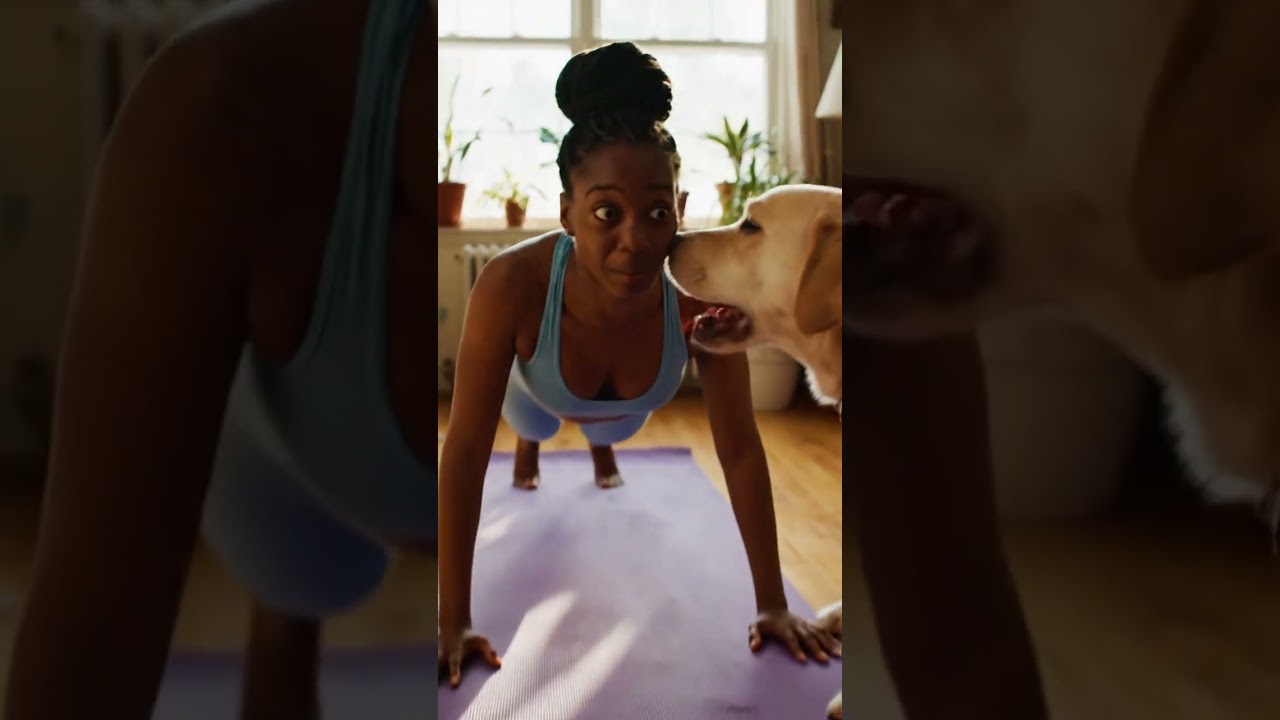 Peaceful Yoga? My Dog & Cat Said NO 😂🧘‍♀️🐶🐱