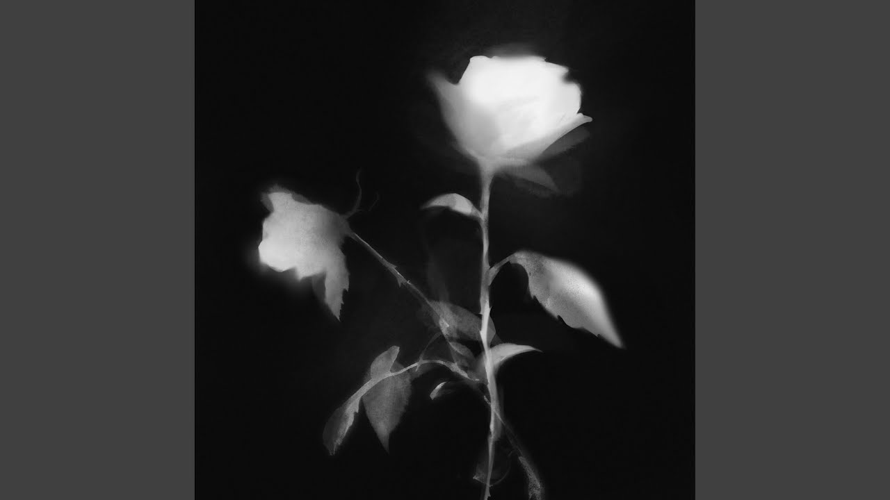 YouTube에서 Fleurs 보기 YouTube에서 Fleurs 보기