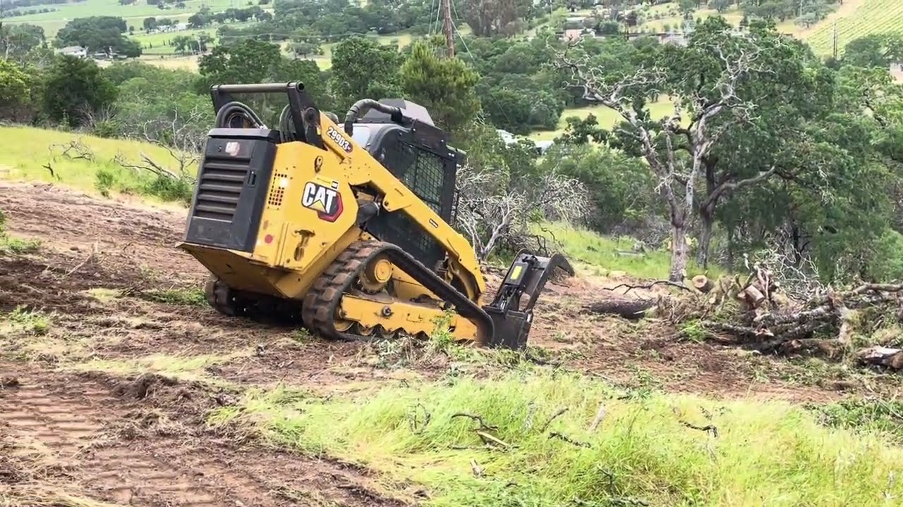 Post Fire cleanup of dead trees