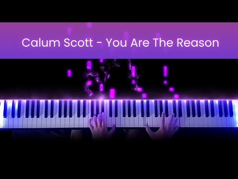 You Are The Reason - Calum Scott