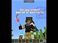 Did you know this? we can use soul torch for this 💀 #minecraft #soultorch #use #tamil