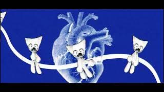 Download lagu T3MPRR // Femtanyl