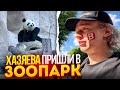 ХАЗЯЕВА ПРИШЛИ В ЗООПАРК | ПАРАДЕЕВИЧА РАЗРИСОВАЛИ | КАТАЮТСЯ НА ДЕТСКИХ АТТРАКЦИОНАХ