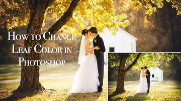 How to Change Leaf Color in Photoshop