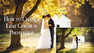 How to Change Leaf Color in Photoshop screenshot 2