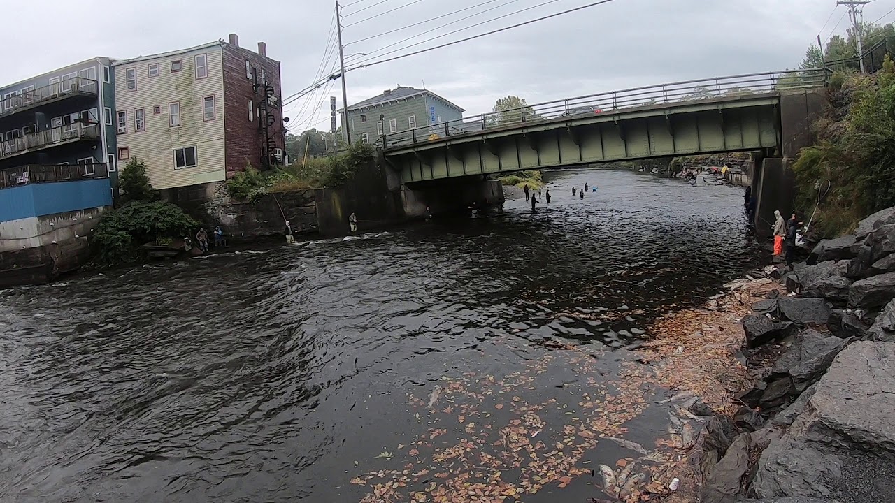 Salmon River Town Pool 2019 YouTube