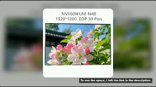 16.0'' NV160WUM-N4B EDP 30 Pins 1920*1200 Laptop LCD Screen Display Panel Matrix