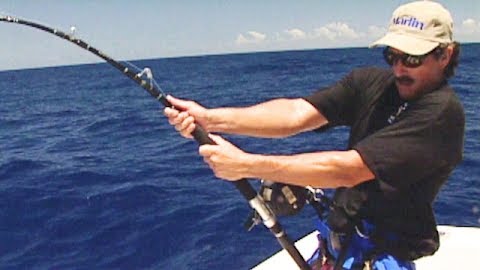Unbridled Fishing in the Zone: Midway Island, Part 2