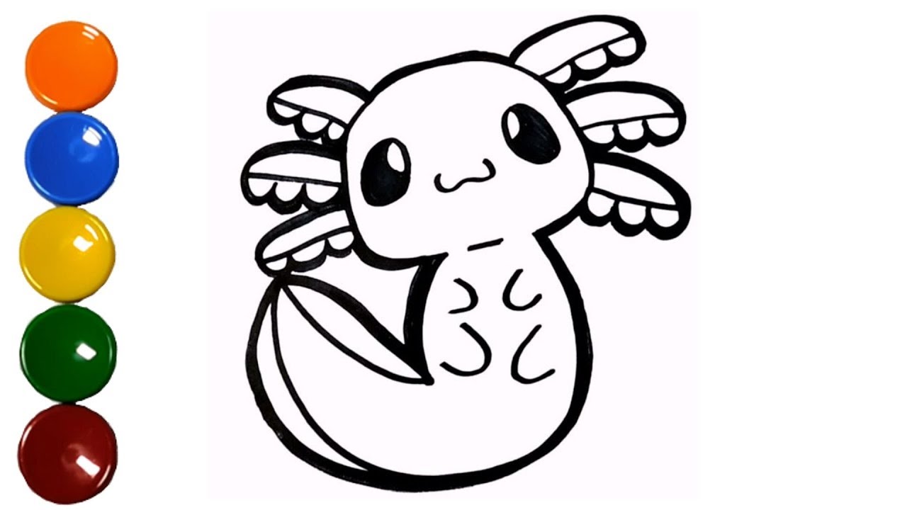 Axolotl Drawing And Coloring Pokemon In Real Life How To Draw And Color Axolotl Drawing And Coloring Pokemon In Real Life How To Draw And Color