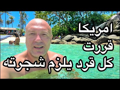 ايه حيحصل دلوقتي في الشرق الاوسط الجديد