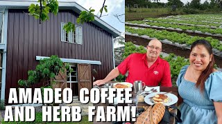 Coffee and Herb Farm sa Amadeo, Cavite! | Grabe ang ganda!