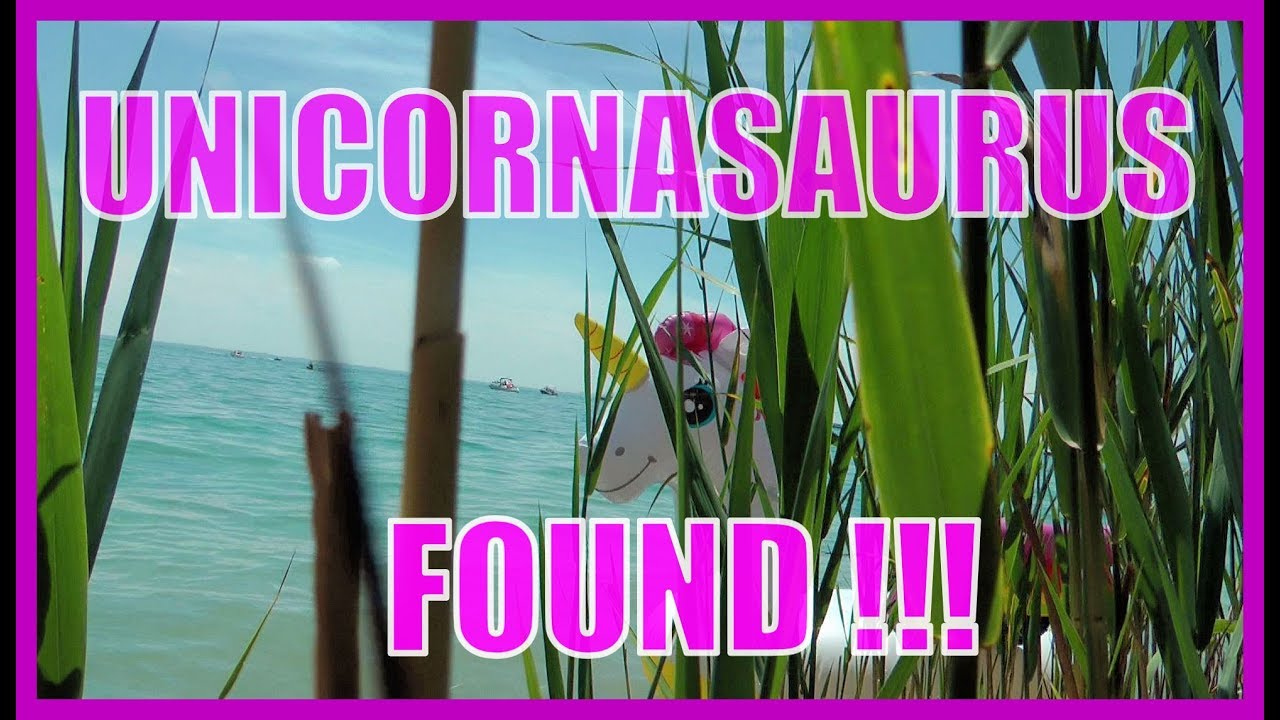 SHOCKER ! UNICORNS ARE REAL !!! YouTube