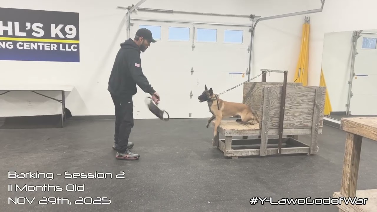 Lawo Barking - 11/29/2025