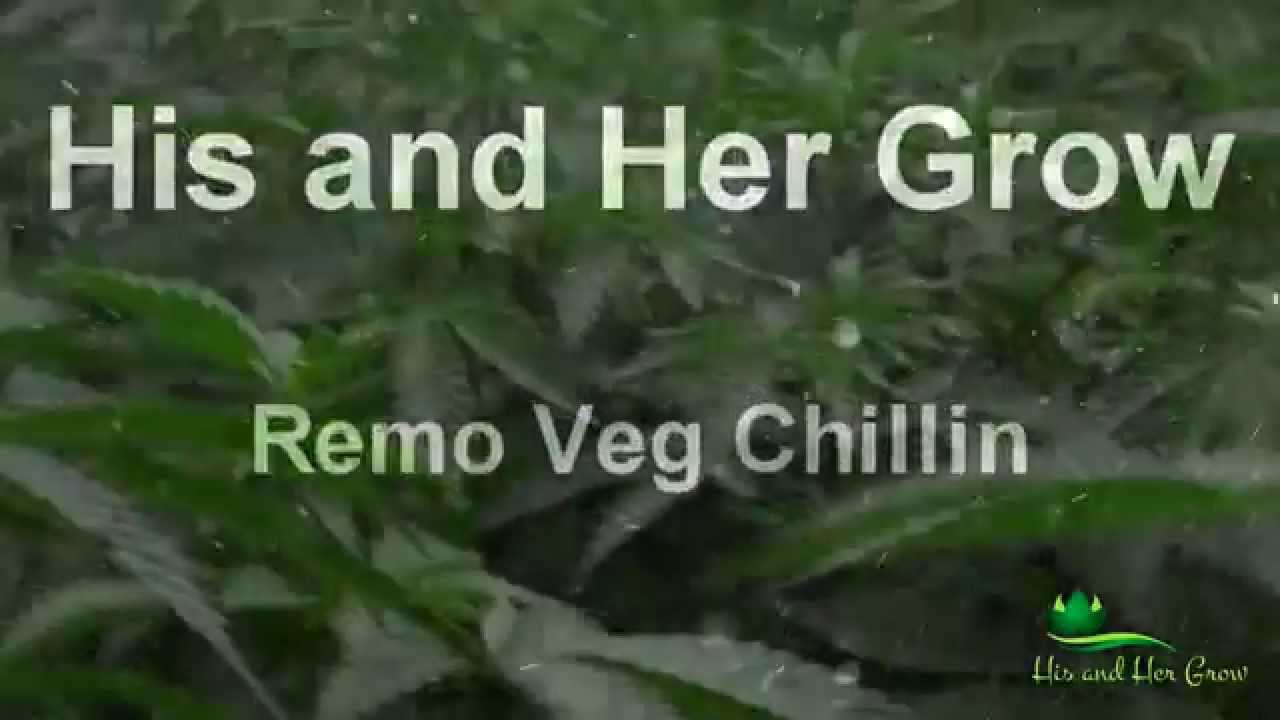 Remo vs Advanced Nutrients -  EP03