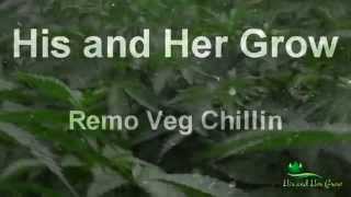 Remo vs Advanced Nutrients -  EP03
