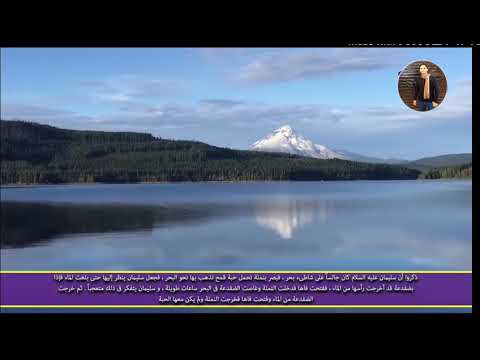 من قصص الأنبياء قصة النمله والدوده العمئ في البحر مع سيدنا سليمان