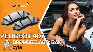 Popravilo PEUGEOT 407 Sedan 3.0 (6DXFVJ) naredi sam - avtomobilski video vodič