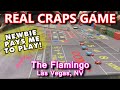 CRAPS ON THE STRIP! - Live Craps Game #47 - Flamingo, Las Vegas, NV - Inside the Casino - ASMR video