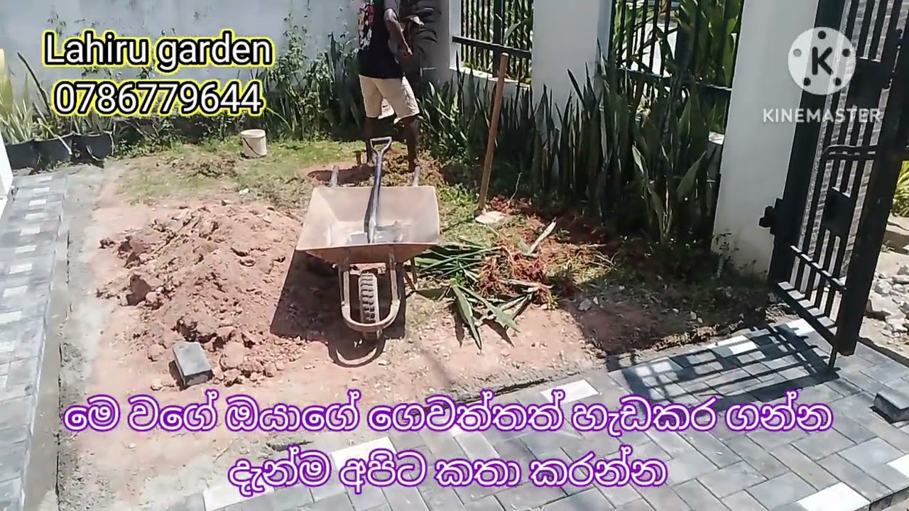 Lahiru garden #interlog #grass #home #construction #lawn #gardendesign #interlogpaving #landscape