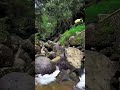 AMAZING DRONE SHOTS FROM DJI NEO 2 #drone #exploreindonesia