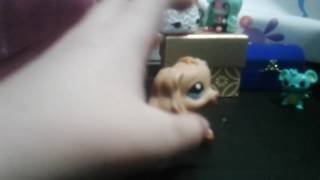 Im new so please subdcribe by LPS Corgie lover 20 views 7 years ago 45 seconds