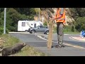 Fur seal in Dunedin