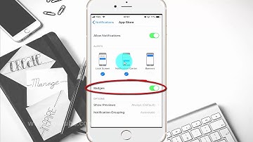 How to Enable or Disable app notification Badges on iPhone 6 (iOS 12)