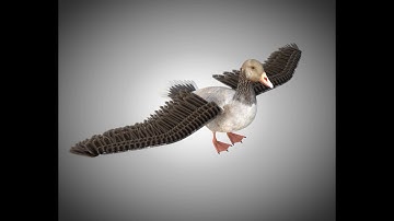 3D Model Goose PBR Bird Rigged Low poly at 3DExport.com