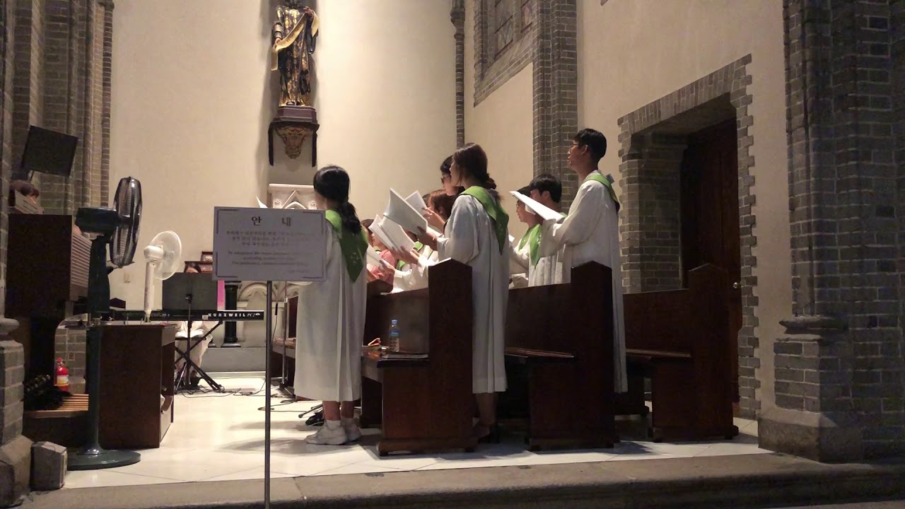 명동성당 청년성가대 엘리 - 이 시간 너의 맘 속에