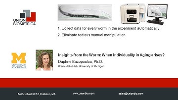 Sorting C.elegans worms. Insights from the Worm: When Individuality in Aging arises?