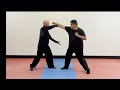 Unveiling the Mastery: The Essential Form of Praying Mantis Kung Fu螳螂拳二段教学（上）
