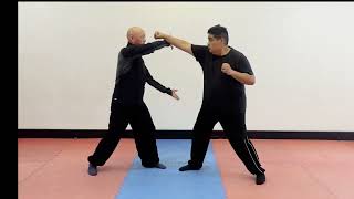 Unveiling the Mastery: The Essential Form of Praying Mantis Kung Fu螳螂拳二段教学（上）
