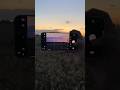 Xiaomi 17 Pro Max snapshots: Sunset meets Leica - vivid filter, such atmosphere.