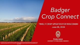 Badger Crop Connect Webinar Series 2024: Jun 26, 2024 Wisconsin Ag Climate Outlook